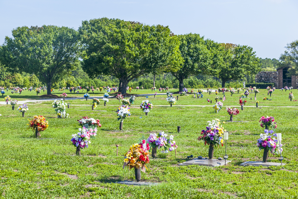 What’s new in Funeral Industry Trends? Green Burials!