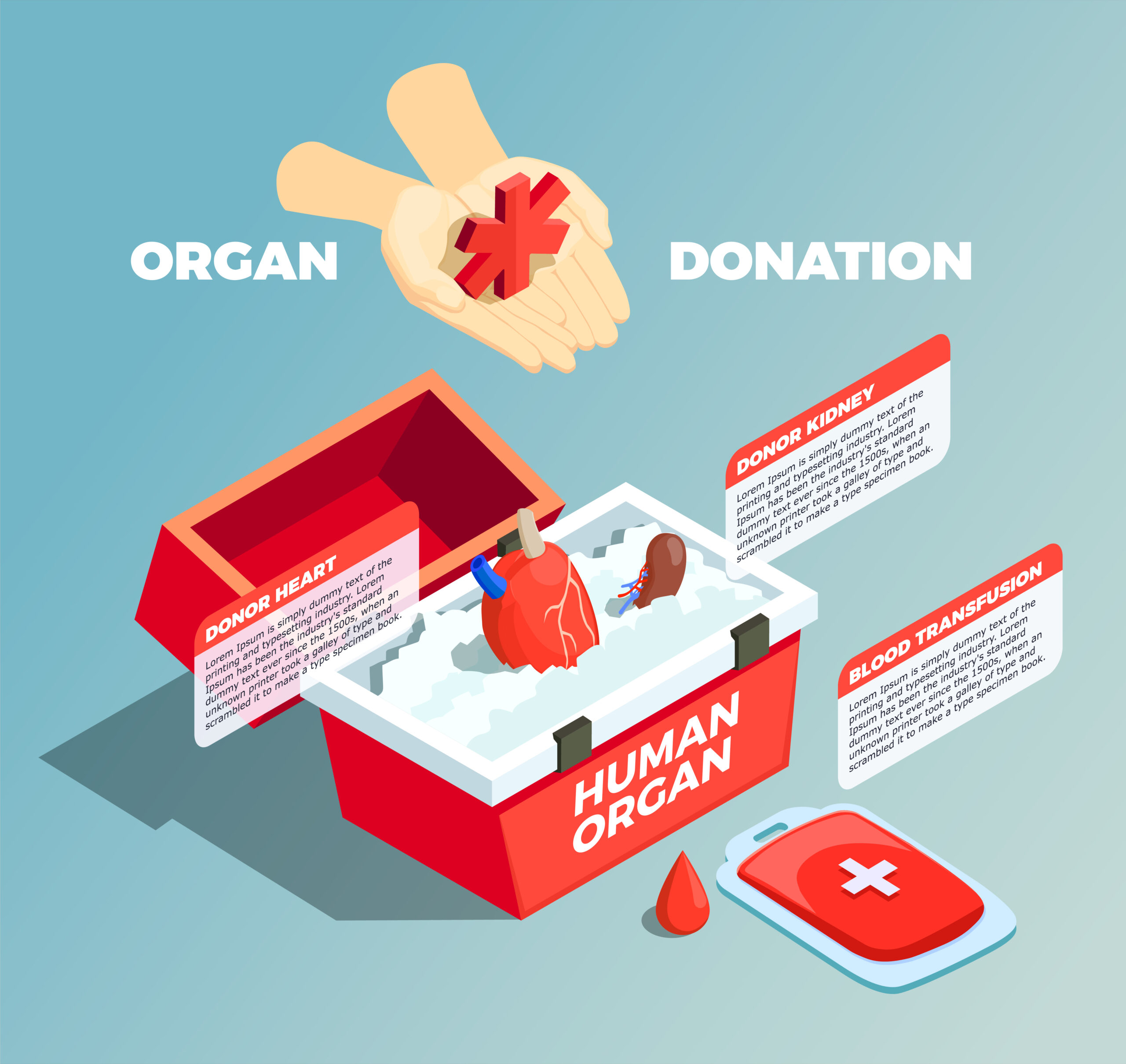 What You Need to Know About Organ Donations